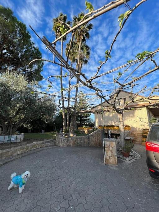Casa Parra Villa Deltebre Eksteriør bilde