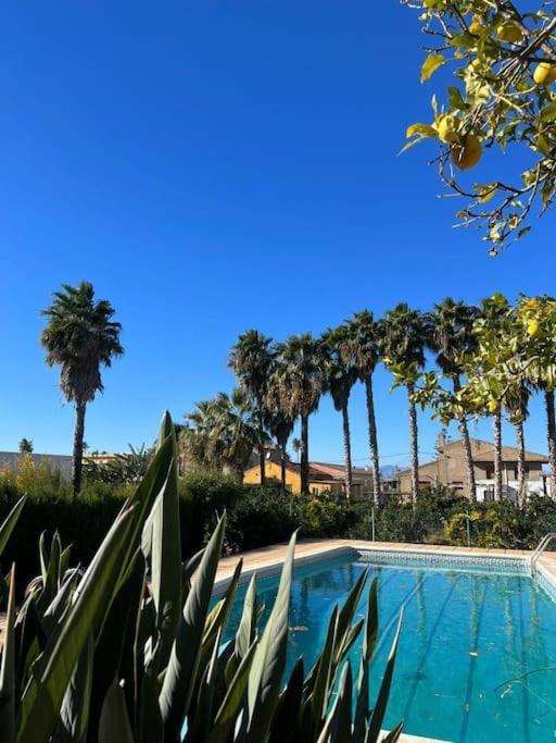 Casa Parra Villa Deltebre Eksteriør bilde